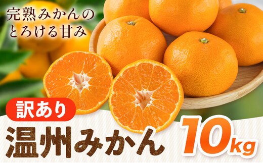 温州みかん 10kg 訳あり品 亀井農園 《11月上旬-1月中旬出荷予定(土日祝除く)》和歌山県 日高川町 柑橘類 柑橘 果物 フルーツ ミカン みかん 温州---wshg_kmn1_11j1c_25_13000_10kg---