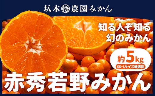 赤秀 若野みかん 約 5kg（サイズ無選別）《12月上旬-2月中旬頃出荷》圦本悟農園 和歌山県 日高川町 旬 新鮮 果物 柑橘 フルーツ 国産 送料無料 ミカン みかん 温州みかん---wshg_rms3_12j2c_24_13000_5kg---