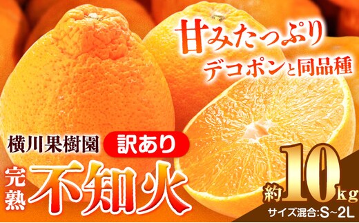 完熟 不知火(デコ) 約10kg S～2L 家庭用 サイズ混合 横川果樹園 《3月中旬-4月末頃出荷》 和歌山県 日高川町 不知火 みかん 果物 柑橘 フルーツ 送料無料---wshg_ykk7_3c4m_24_19000_10kg---
