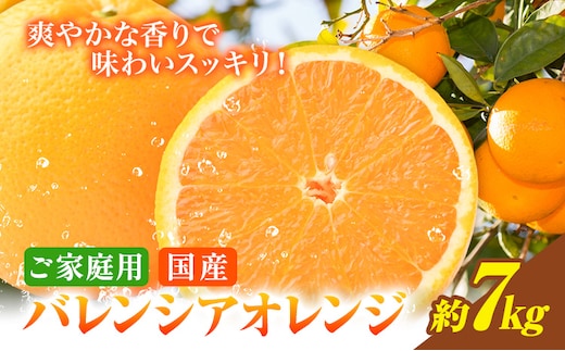 【ご家庭用訳あり】※先行予約※希少な国産バレンシアオレンジ 約7kg 株式会社魚鶴商店《2026年6月下旬-7月上旬出荷》和歌山県 日高川町---wshg_uot144_6g7j_25_16000_7kg---