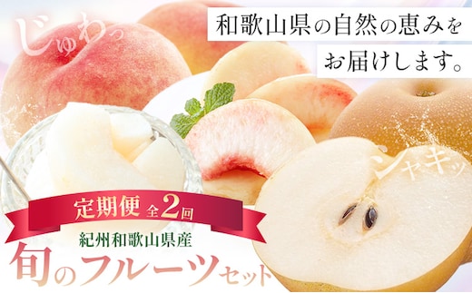 紀州 和歌山県産 旬の フルーツ セット 2ヶ月定期便 7月・8月配送 桃 約1.8kg 梨 約2kg 株式会社魚鶴商店《7月-8月頃出荷》和歌山県 日高川町 もも なし 定期便 果物 旬---wshg_uot104tei_26_33000_78y2---