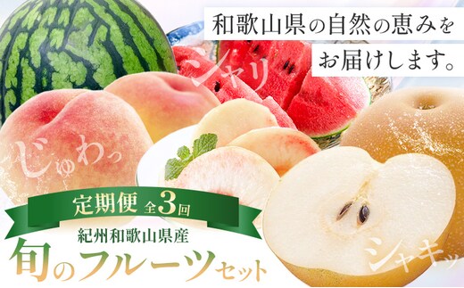 紀州 和歌山県産 旬の フルーツ セット 3ヶ月定期便 6月・7月・8月配送 小玉スイカ （ひとりじめ） 1玉 桃 約1.8kg 梨 約2kg 株式会社魚鶴商店《6月-8月頃出荷》和歌山県 日高川町 もも なし 定期便 果物 旬---wshg_uot101tei_26_43000_678y3---