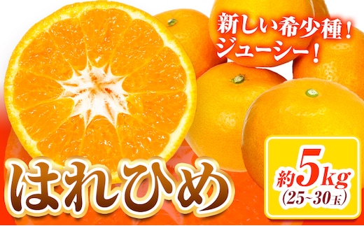 【先行予約】みかん はれひめ 約 5kg 25玉 ～ 30玉 紀農人株式会社《2025年12月中旬-2月上旬頃出荷》 和歌山県 日高川町 果物 フルーツ 柑橘 蜜柑 柑橘類 旬---wshg_kgr6_12c2j_24_15000_5kg---