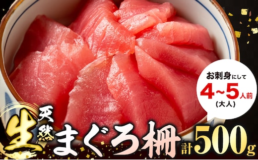 那智勝浦直送 天然生まぐろ 柵 500g 株式会社魚鶴商店《30日以内に出荷予定(土日祝除く)》和歌山県 日高川町 まぐろ 魚 マグロ 柵 海鮮 鮪 魚介 さかな---wshg_cuot72_30d_24_22000_500g---