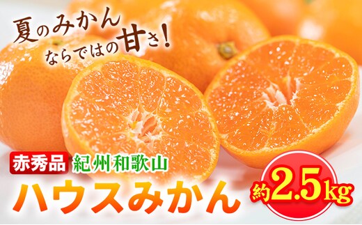 【先行予約】赤秀品 紀州和歌山 ハウス みかん 約2.5kg 株式会社魚鶴商店《2026年6月下旬頃～7月下旬頃出荷》和歌山県 日高川町 みかん ミカン 蜜柑 フルーツ 柑橘---wshg_uot145_6g7g_25_20000_2500g---