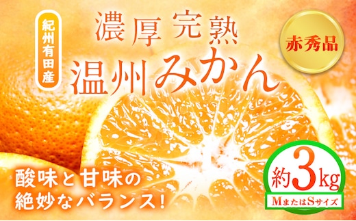 【先行予約】赤秀品 紀州有田産 濃厚完熟温州みかん 3kg (MサイズまたはSサイズ) 魚鶴商店《2026年11月下旬-2027年1月下旬頃出荷》和歌山県 日高川町 みかん ミカン 蜜柑 フルーツ 柑橘---wshg_uot172_11g1g_25_12000_3kg---