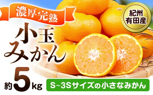 【先行予約】みかん 紀州有田産 濃厚完熟 小玉みかん 約5kg S-3Sサイズ 株式会社魚鶴商店《2026年11月下旬-12月下旬頃出荷》 和歌山県 日高川町 みかん 小玉みかん 完熟 濃厚 柑橘 小玉 小さい---wshg_uot169_11g12g_25_16000_5kg---