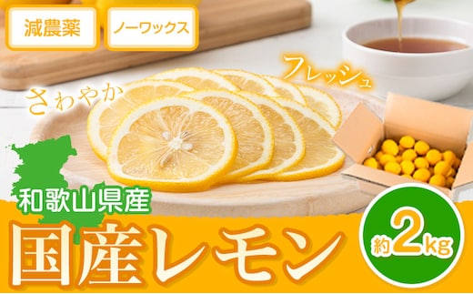 【2027年発送先行予約】 国産 レモン 約 2kg (L～4Lサイズ) どの坂果樹園《2027年2月上旬-5月末頃出荷》 和歌山県 日高川町 レモン れもん 檸檬 果物 フルーツ 国産レモン レモネード レモンサワー はちみつレモン はちみつ ハイボール 旬 柑橘 フルーツ 果物 送料無料---wshg_dsk53_2j5m_24_7000_2kg---
