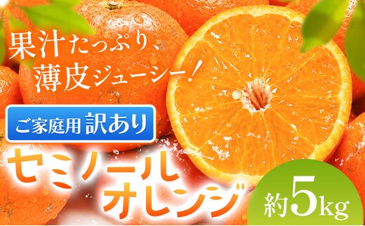オレンジ 訳あり ご家庭用 セミノールオレンジ 約5kg 株式会社魚鶴商店《5月上旬-5月下旬頃出荷予定》 和歌山県 日高川町 柑橘 フルーツ---wshg_uot232_5j5g_26_12000_5kg---