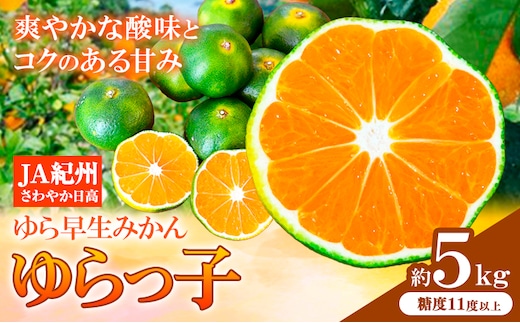 【先行予約】ゆら早生みかん「ゆらっ子」 約5kg JA紀州産直店 さわやか日高（日高川町）《10月上旬-11月上旬頃出荷》 和歌山県 日高川町 ゆら早生みかん みかん 早生 柑橘 蜜柑 フルーツ---wshg_swk15_10j11j_25_16000_5kg---