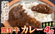 牛肉 熊野牛 カレー 4食セット 株式会社Meat Factory《30日以内に出荷予定(土日祝除く)》和歌山県 日高川町 熊野牛 牛 和牛 焼肉 希少部位 ミスジ 焼肉---wshg_mfy37_30d_24_12000_4p---
