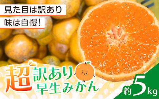 みかん 超訳あり早生みかん 約5kg 《12月上旬-2月上旬頃出荷》 和歌山県 日高川町 みかん ミカン 早生みかん 蜜柑 柑橘 訳あり 果物 くだもの フルーツ 青果物---wshg_dsk98_12j2j_26_7000_5---