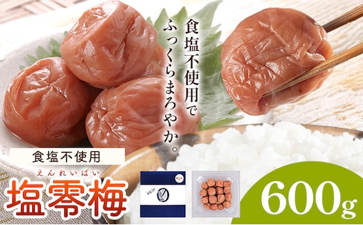 塩零梅 梅干し 紀州南高梅 食塩不使用 有限会社プラム 600g《30日以内に出荷予定(土日祝除く)》和歌山県 日高川町 送料無料 梅 うめ ウメ 南高梅 紀州 送料無料---wshg_plm6_30d_26_10000_600g---