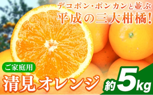 【ご家庭用訳アリ】 紀州有田産清見オレンジ 約5kg 株式会社魚鶴商店《2026年3月下旬-4月中旬頃出荷》 和歌山県 日高川町 オレンジ 柑橘 ご家庭用 フルーツ---wshg_uot131_3g4c_25_11000_5kg---
