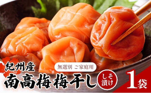 【数量限定！3～7営業日出荷】紀州 南高梅 梅干し しそ漬け 1袋 送料無料 メール便 ご家庭用 無選別 《3-7日以内に発送予定(土日祝日除く)》和歌山県 日高川町 しそ梅 はちみつ梅---iwfn_wlocal1_wkd_25_2500_220g---