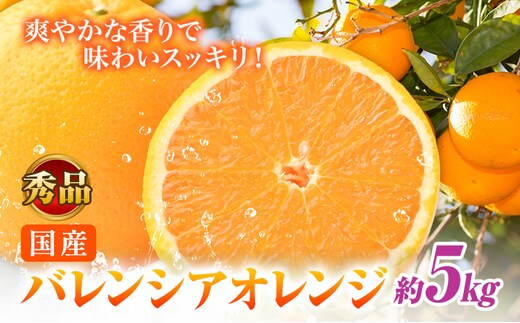 【秀品】※先行予約※希少な国産バレンシアオレンジ 約5kg 株式会社 魚鶴商店《2026年6月下旬頃～7月上旬頃出荷》和歌山県 日高川町 オレンジ 柑橘 フルーツ 果物---wshg_uot143_6g7j_25_16000_5kg---