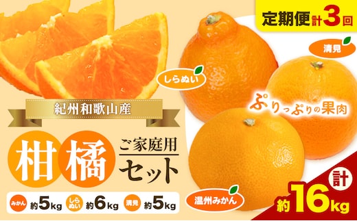 【発送月固定定期便】紀州 和歌山産 旬の ご家庭用 柑橘 セット (みかん 不知火 清見)【全３回】計16kg 株式会社魚鶴《2027年1月上旬-4月上旬頃出荷》 和歌山県 日高川町 オレンジ 柑橘 蜜柑 果物 訳あり 送料無料 定期便---wshg_uotteik2_25_36000_mo3num1---
