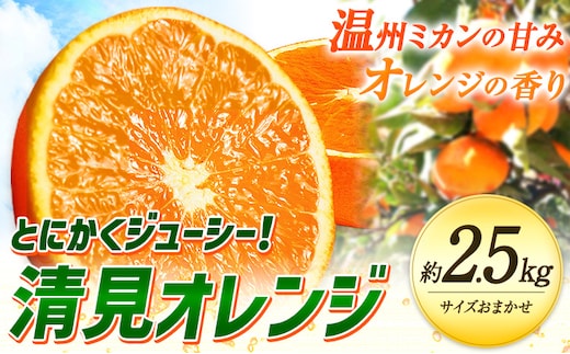 とにかくジューシー 清見 オレンジ 約2.5kg 株式会社魚鶴商店《2027年3月下旬-5月上旬頃出荷》和歌山県 日高川町 柑橘 果物 フルーツ 清見オレンジ---wshg_uot227_3g5j_26_10000_2500g--