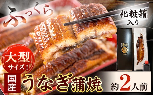 大型サイズ ふっくら柔らか国産 うなぎ 蒲焼き 1尾 化粧箱入(真空パック入) 株式会社魚鶴《30日以内に出荷予定(土日祝除く)》 和歌山県 日高川町 うなぎ 鰻 ギフト 贈り物---wshg_fuot1_30d_24_13000_2h---