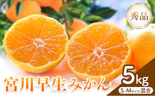 【先行予約】宮川 早生 みかん 約 5kg (S～Mサイズ) 松井農園《2026年12月上旬-2027年1月上旬頃出荷予定》 和歌山県 日高川町 みかん早生 旬 柑橘 フルーツ 果物 ミカン 蜜柑---wshg_mti6_12j1j_26_13000_5kg---