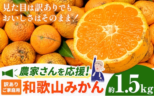 和歌山県産 訳あり みかん (3S～3L) 約1.5kg《11月上旬-12月末頃出荷》和歌山県 日高川町 果物 フルーツ 訳ありみかん 家庭用---wfn_wlocal16_ac1112_23_3500_1500g---