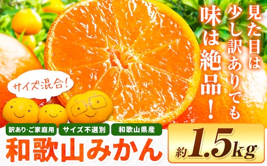 和歌山県産 訳あり みかん (3S～3L) 約1.5kg《11月上旬-12月末頃出荷》和歌山県 日高川町 果物 フルーツ 訳ありみかん 家庭用---wfn_wlocal_11j12m_25_3000_1500g---