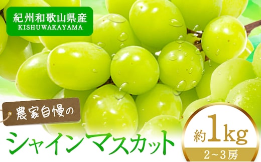 【2026年先行予約】紀州和歌山産 シャインマスカット 約 1kg 魚鶴商店《2026年8月下旬-9月上旬出荷》マスカット 和歌山県 日高川町 贈り物 ギフト ぶどう シャインマスカット---wshg_cuot67_8g9j_24_18000_1kg---
