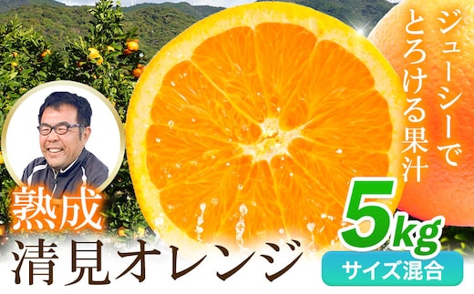 熟成清見オレンジ 5kg どの坂果樹園《3月上旬-5月中旬頃出荷》 和歌山県 日高川町 清見オレンジ 旬 柑橘 フルーツ 果物 オレンジ 熟成---wshg_dsk61_3j5c_25_9000_5kg---