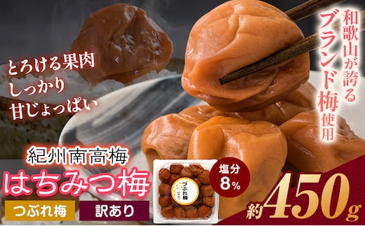 ご家庭用 とろける果肉 紀州南高梅 はちみつ梅 つぶれ梅 大容量 450g 有限会社プラム《30日以内に出荷予定(土日祝除く)》和歌山県 日高川町 梅 うめ ウメ 南高梅 梅干し 梅干 つぶれ梅 蜂蜜 送料無料 ランキング お米 のお供---wshg_plm4_30d_26_6000_450g---