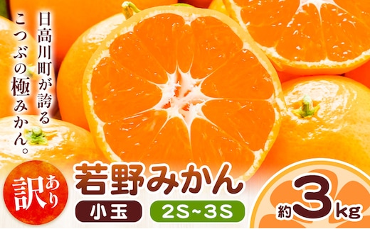 和歌山県産 訳あり 小玉若野みかん (2S-3Sサイズ) みかん 小玉 約3kg《11月下旬-12月下旬頃出荷》 マルエイ農園 和歌山県 日高川町 果物 フルーツ 訳ありみかん 家庭用 みかん みかん---wshg_men3_11g12g_25_9000_3kg---
