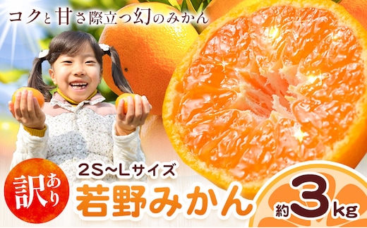 和歌山県産 訳あり 若野みかん (2S～Lサイズ) みかん 約3kg《11月下旬-12月下旬頃出荷》 マルエイ農園 和歌山県 日高川町 果物 フルーツ 訳ありみかん 家庭用 みかん みかん---wshg_men1_11g12g_25_9000_3kg---