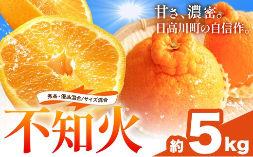 不知火 秀品・優品混合/サイズ混合 5kg 中畑農園《1月下旬-2月末頃出荷》 和歌山県 日高川町 不知火 みかん ミカン 蜜柑 椪柑 フルーツ 果物 柑橘---wshg_nkn4_1g2m_25_13000_5kg---