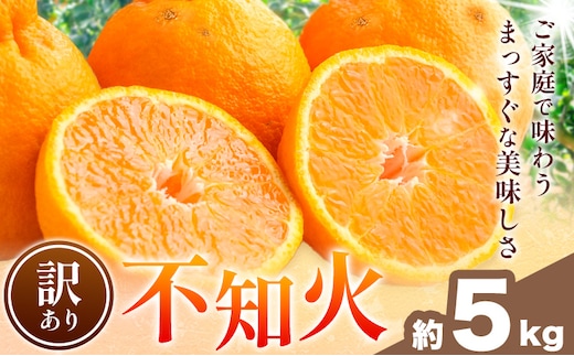 不知火 訳あり 5kg 中畑農園《1月下旬-2月末頃出荷》 和歌山県 日高川町 不知火 みかん ミカン 蜜柑 椪柑 フルーツ 果物 柑橘---wshg_nkn6_1g2m_25_10000_5kg---