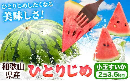 紀州和歌山産 小玉スイカ 「ひとりじめ」 2玉 魚鶴商店《2027年6月上旬-6月下旬頃出荷》 和歌山県 日高川町 スイカ スイーツ フルーツ---wshg_uot235_6j6g_26_15000_2t---