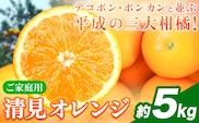 【ご家庭用訳アリ】 紀州有田産清見オレンジ 約5kg 株式会社魚鶴商店《2026年3月下旬-4月中旬頃出荷》 和歌山県 日高川町 オレンジ 柑橘 ご家庭用 フルーツ---wshg_uot131_3g4c_25_11000_5kg---