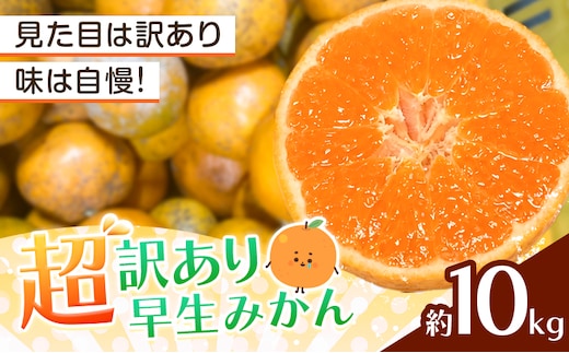 みかん 超訳あり早生みかん 約10kg 《12月上旬-2月上旬頃出荷》 和歌山県 日高川町 みかん ミカン 早生みかん 蜜柑 柑橘 訳あり 果物 くだもの フルーツ 青果物---wshg_dsk96_12j2j_26_10000_10---