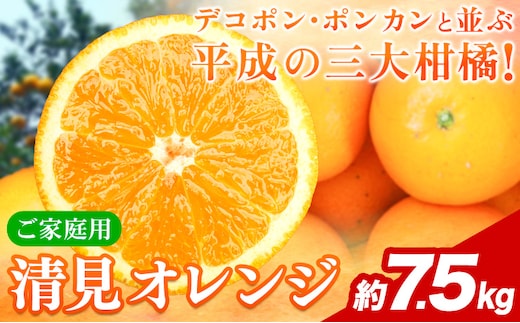 【ご家庭用訳アリ】 紀州有田産清見オレンジ 約7.5kg 株式会社魚鶴商店《2026年3月下旬-4月中旬頃出荷》 和歌山県 日高川町 オレンジ 柑橘 ご家庭用 フルーツ---wshg_uot132_3g4c_25_16000_7500g---