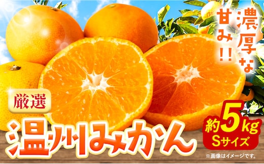 みかん 温州みかん 厳選 5kg Sサイズ 小玉みかん GOGO農園《11月上旬-1月中旬頃出荷》和歌山県 日高川町 みかん 柑橘類 うんしゅうみかん みかん 柑橘 蜜柑 フルーツ 送料無料---wshg_gof32_11j1c_26_10000_5kg---