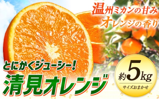 とにかくジューシー 清見 オレンジ 約5kg 株式会社魚鶴商店《2027年3月下旬-5月上旬頃出荷》和歌山県 日高川町 柑橘 果物 フルーツ 清見オレンジ---wshg_uot228_3g5j_26_14000_5kg--