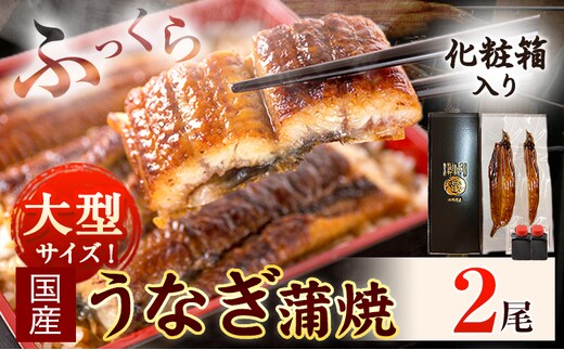 大型サイズ ふっくら柔らか国産 うなぎ 蒲焼き 2尾 化粧箱入(真空パック入) 株式会社魚鶴《30日以内に出荷予定(土日祝除く)》 和歌山県 日高川町 うなぎ 鰻 ギフト 贈り物---wshg_fuot2_30d_24_21000_2b---