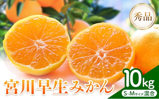 【先行予約】宮川 早生 みかん 約 10kg (S～Mサイズ) 松井農園《2026年12月上旬-2027年1月上旬頃出荷予定》 和歌山県 日高川町 みかん早生 旬 柑橘 フルーツ 果物 ミカン 蜜柑---wshg_mti7_12j1j_26_24000_10kg---