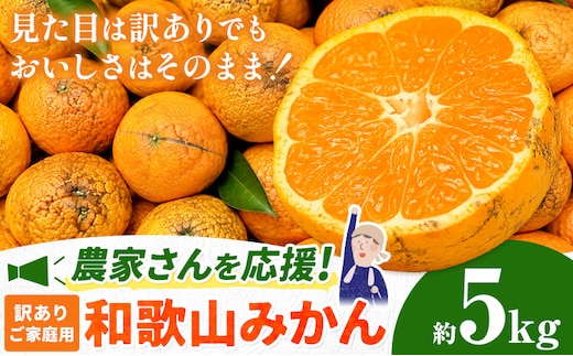 みかん 和歌山県産 訳あり みかん (3S～3L) 約5kg《11月上旬-12月末頃出荷》和歌山県 日高川町 果物 フルーツ 訳あり みかん 家庭用 みかん みかん 5kg 和歌山 みかん みかん みかん みかん みかん---wfn_wlocal17_ac1112_23_6000_5kg---
