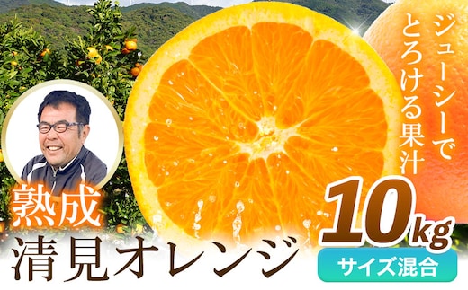 熟成清見オレンジ 10kg どの坂果樹園《3月上旬-5月中旬頃出荷》 和歌山県 日高川町 清見オレンジ 旬 柑橘 フルーツ 果物 オレンジ 熟成---wshg_dsk60_3j5c_25_15000_10kg---