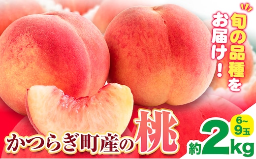 【先行予約】桃 かつらぎ町産 約 2kg 紀農人株式会社《2026年6月上旬-8月中旬頃出荷》 和歌山県 日高川町 果物 フルーツ 桃 もも モモ 旬---wshg_ckgr11_6j8c_26_17000_2kg---