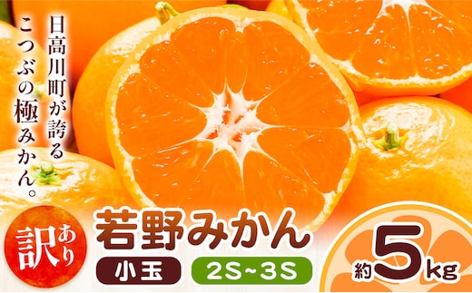 和歌山県産 訳あり 小玉若野みかん (2S-3Sサイズ) みかん 小玉 約5kg《11月下旬-12月下旬頃出荷》 マルエイ農園 和歌山県 日高川町 果物 フルーツ 訳ありみかん 家庭用 みかん みかん---wshg_men4_11g12g_25_13000_5kg---