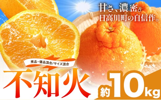 不知火 秀品・優品混合/サイズ混合 10kg 中畑農園《1月下旬-2月末頃出荷》 和歌山県 日高川町 不知火 みかん ミカン 蜜柑 椪柑 フルーツ 果物 柑橘---wshg_nkn5_1g2m_25_22000_10kg---