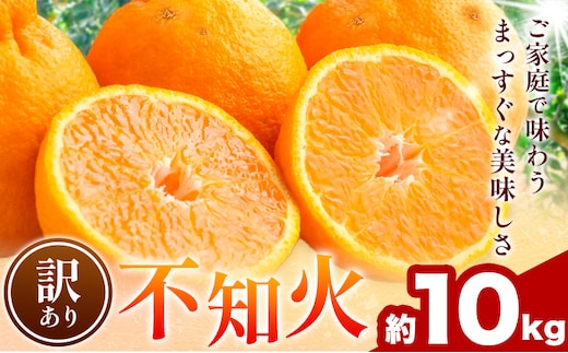 不知火 訳あり 10kg 中畑農園《1月下旬-2月末頃出荷》 和歌山県 日高川町 不知火 みかん ミカン 蜜柑 椪柑 フルーツ 果物 柑橘---wshg_nkn7_1g2m_25_16000_10kg---