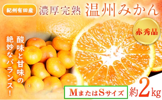 【先行予約】赤秀品 紀州有田産 濃厚完熟温州みかん 2kg (MサイズまたはSサイズ) 魚鶴商店《2026年11月下旬-2027年1月下旬頃出荷》和歌山県 日高川町 みかん ミカン 蜜柑 フルーツ 柑橘--- wshg_uot171_11g1g_25_8000_2kg---