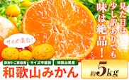 和歌山県産 訳あり みかん (3S～3L) 約5kg《11月上旬-12月末頃出荷》和歌山県 日高川町 果物 フルーツ 訳ありみかん 家庭用---wfn_wlocal_11j12m_25_5500_5kg---