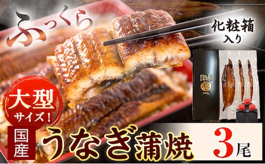 大型サイズ ふっくら柔らか国産 うなぎ 蒲焼き 3尾 化粧箱入(真空パック入) 株式会社魚鶴《30日以内に出荷予定(土日祝除く)》 和歌山県 日高川町 うなぎ 鰻 ギフト 贈り物---wshg_fuot161_30d_25_27000_3b---